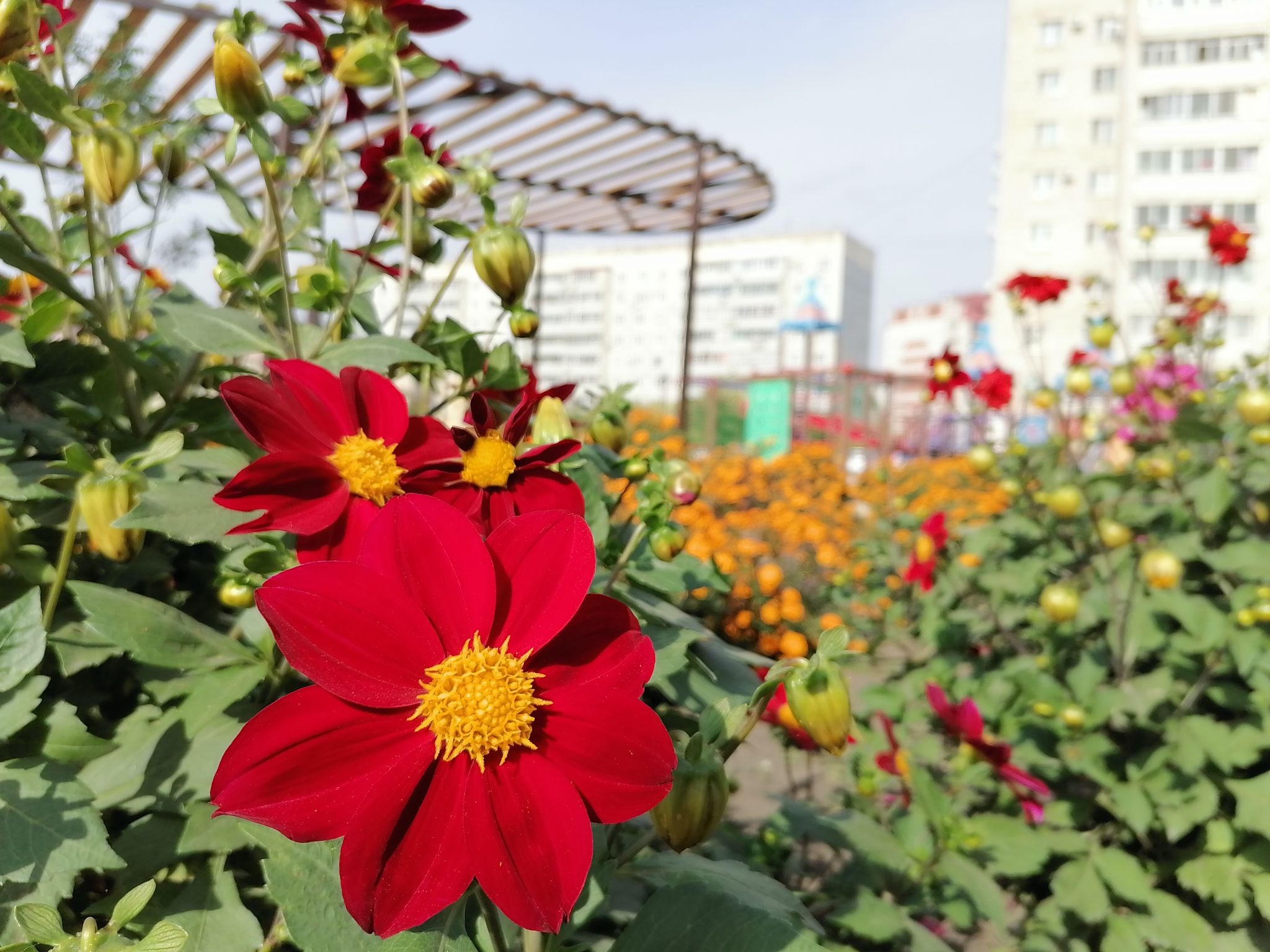Ваз в амурской области
